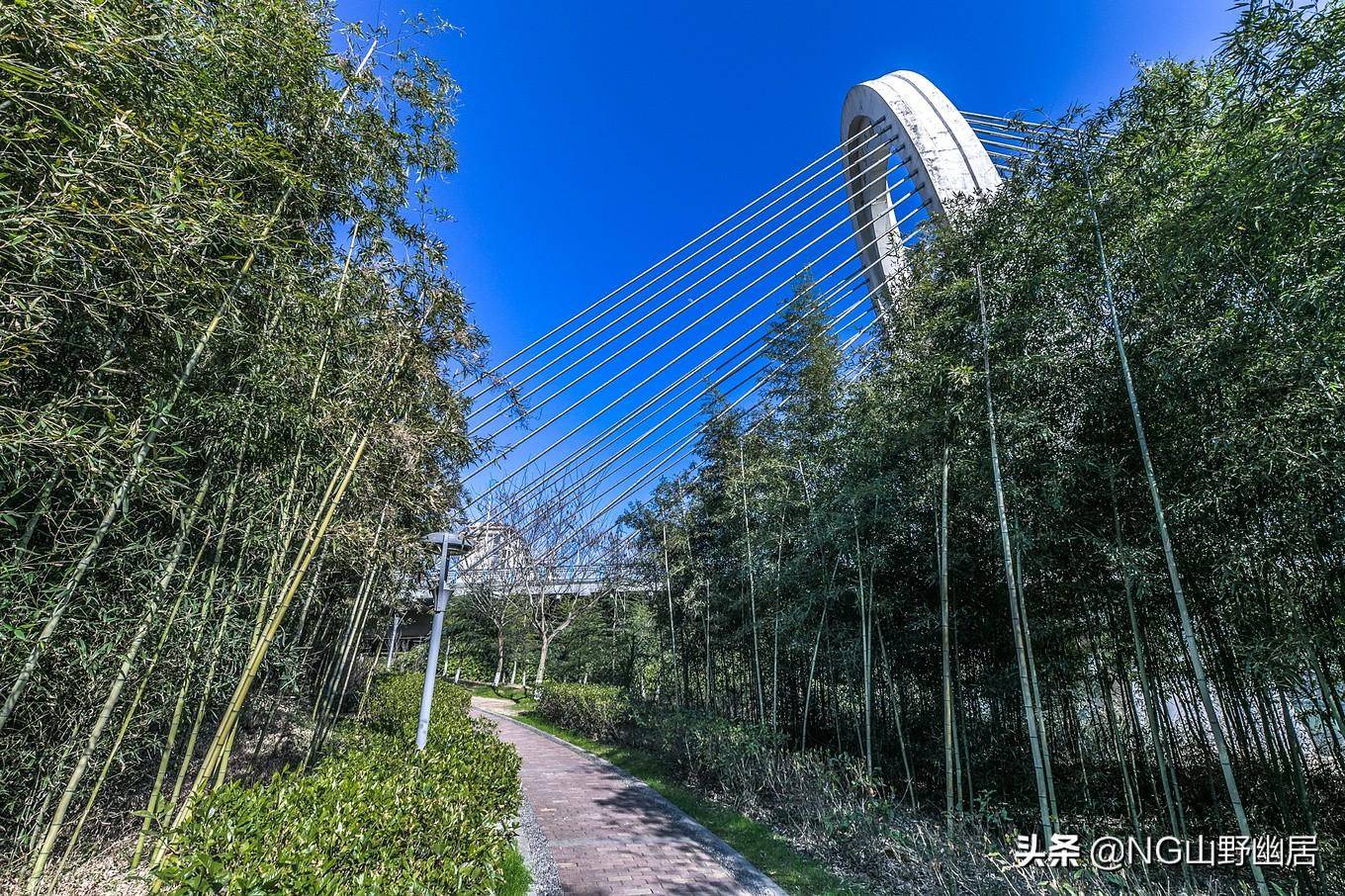 理想家园