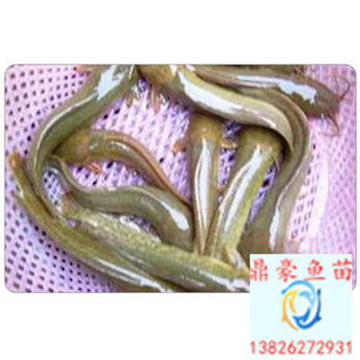 友情与陪伴的温馨故事回顾
