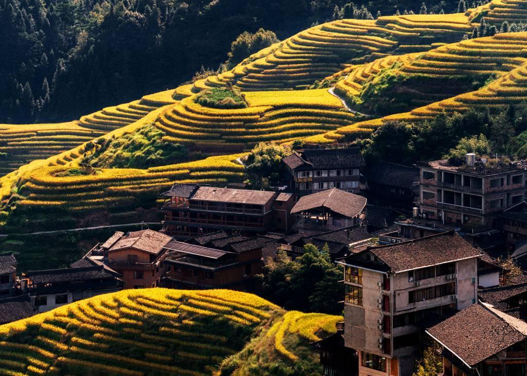 桂林最新航拍，探寻内心平静的绿色之旅