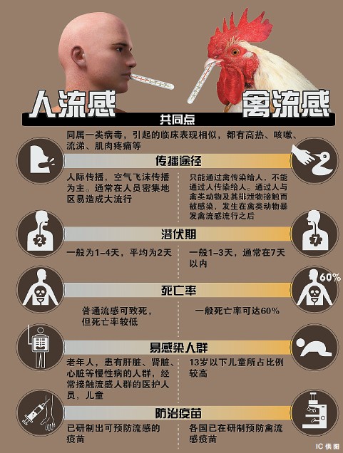禽流感最新动态，人数变化带来的自信与成就感增长之路