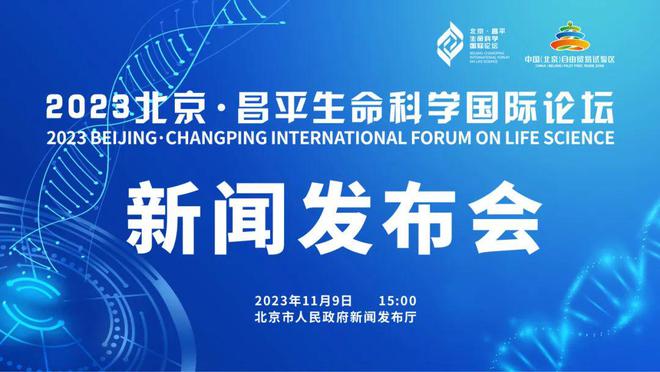 中材国际重组最新动态，重塑未来，自信启航