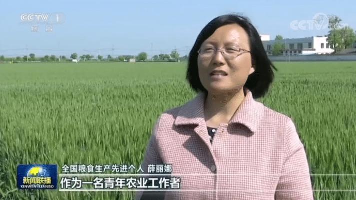 病虫害最新动态，背景、重要事件及其影响概览