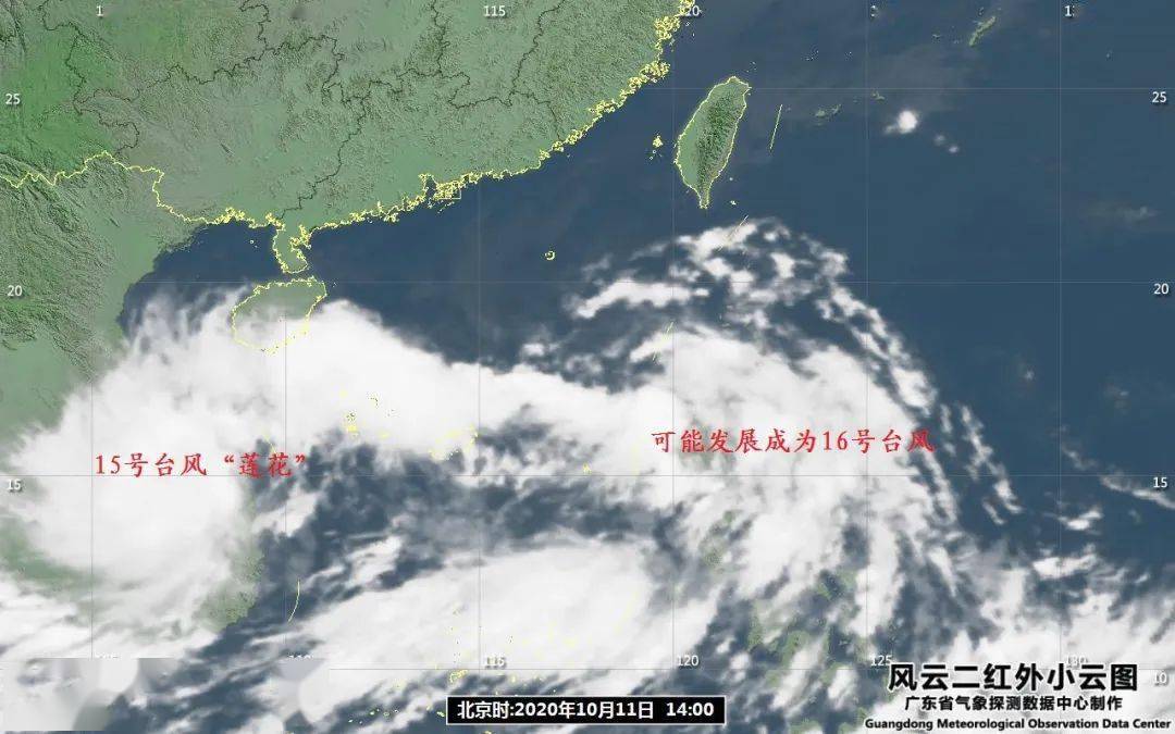 最新动态报告
