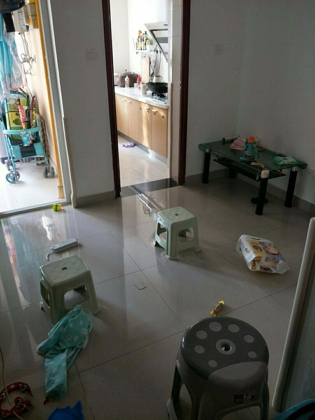 郑州金水区公租房最新动态，一种观点下的影响分析