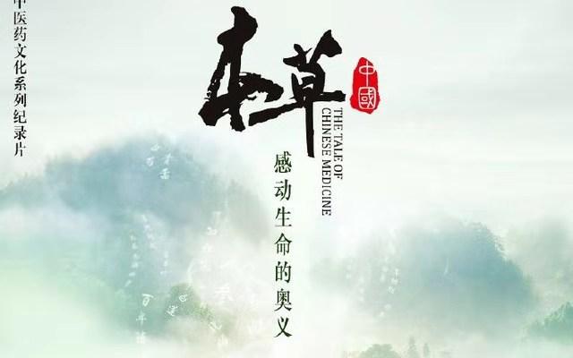 中央电视台最新纪录片，视觉盛宴引领震撼之旅！