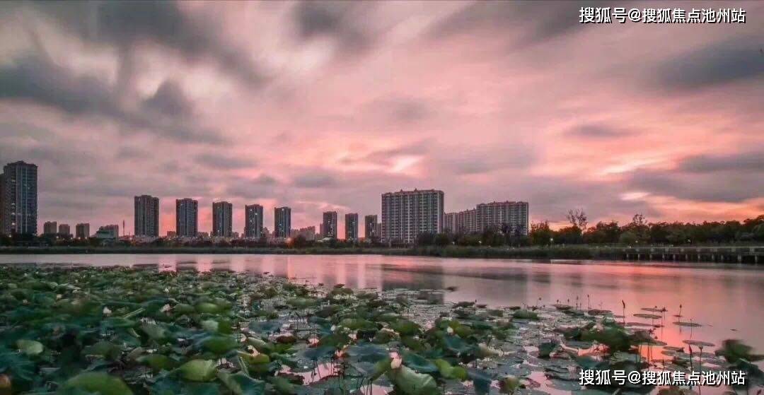 分析概述