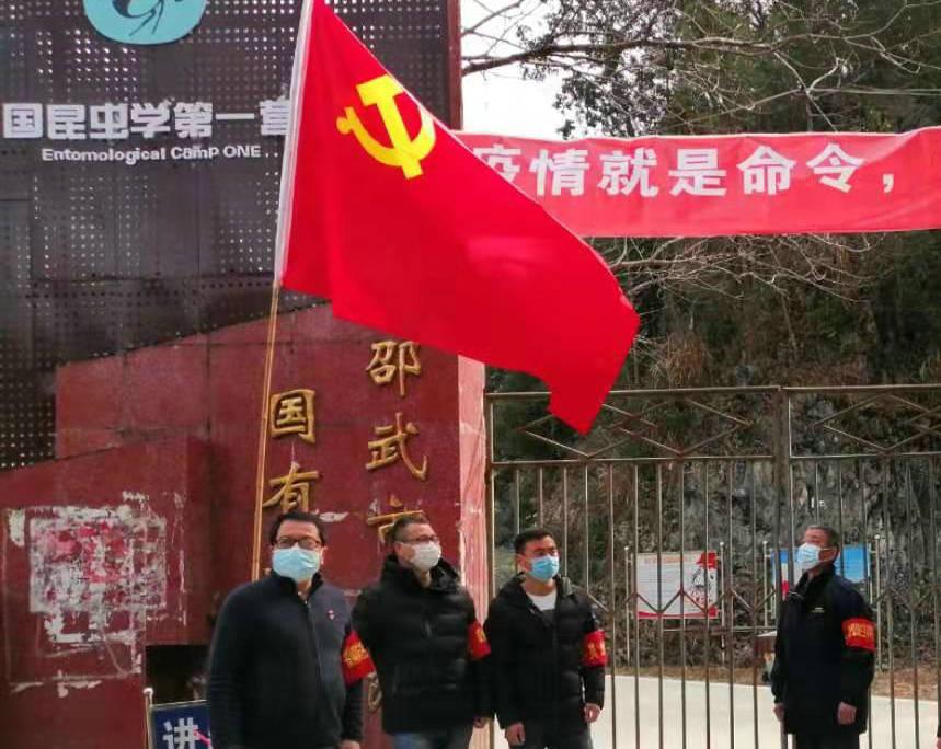 美国新型肺炎疫情最新动态，变化中的学习，展现自信与成就的力量