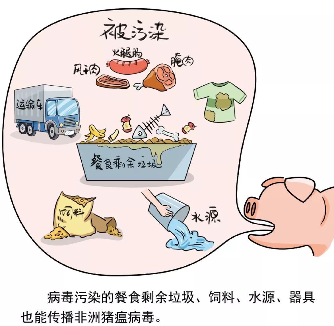 美国疫情最新局面下的温馨日常观察