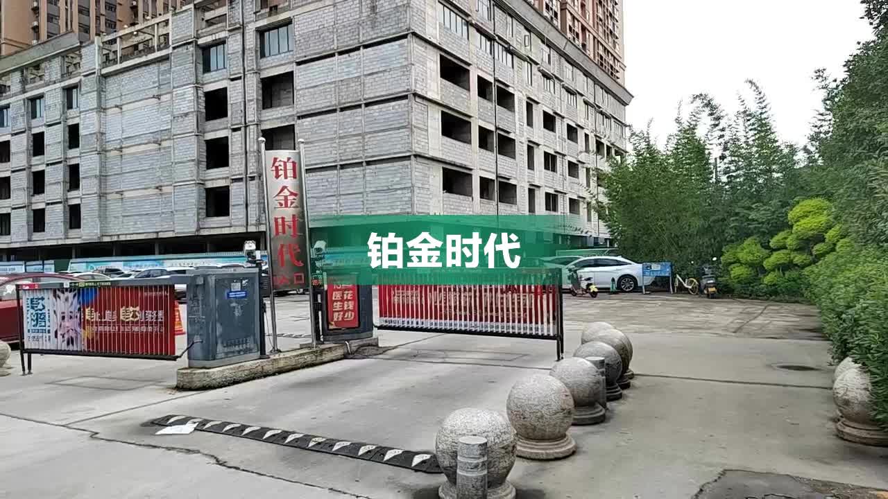 南阳铂金时代最新动态更新