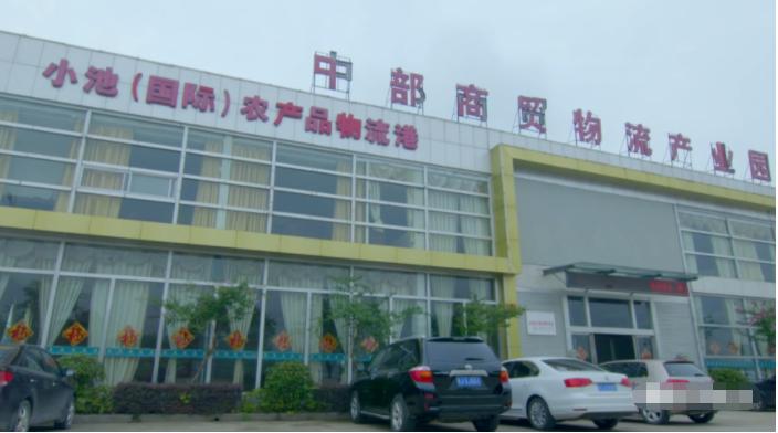 黄梅小池最新动态更新