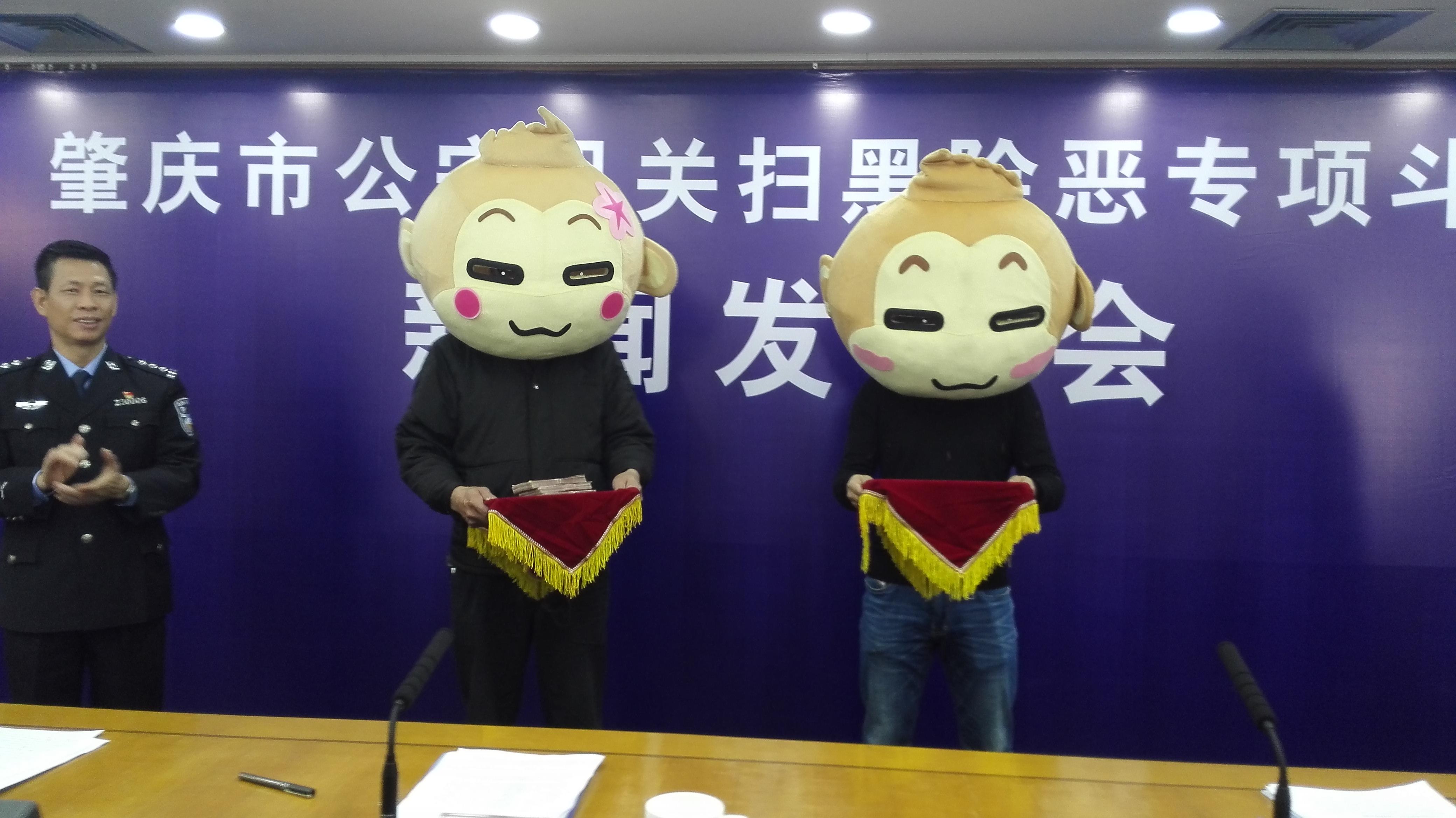 广东封开新闻速递最新资讯📰
