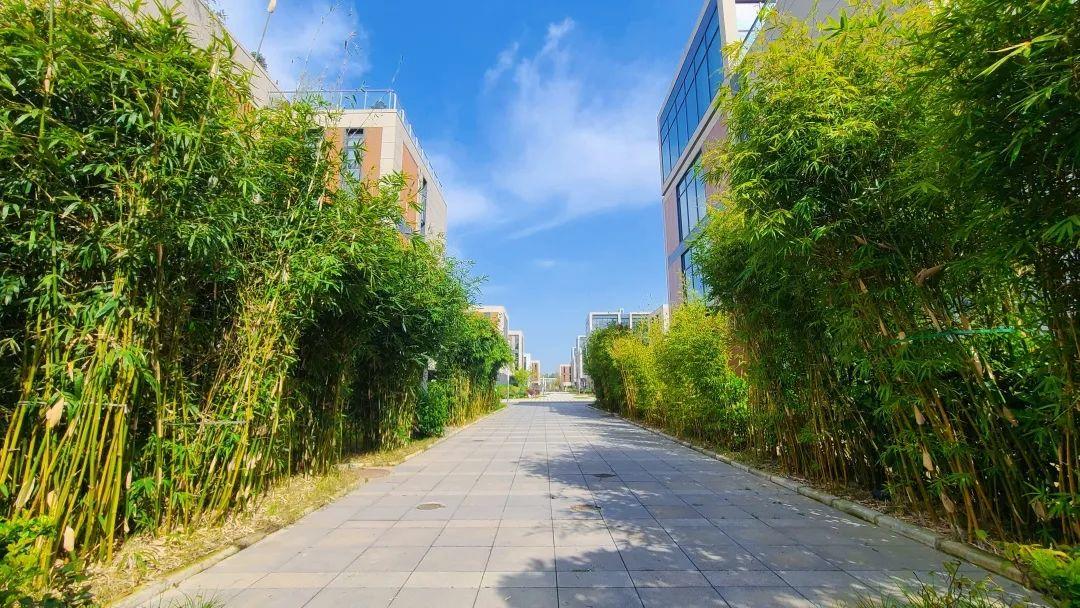 长沙空港城最新进展与动态更新