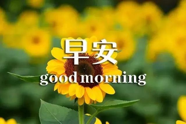 当下流行的热门话题，最新说说分享，2019年流行趋势解析