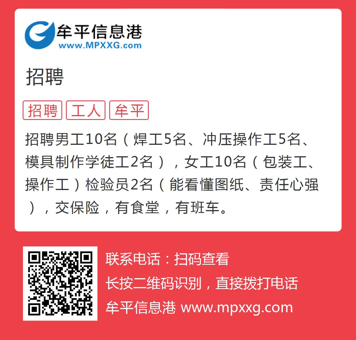 平度信息港最新招聘信息全面更新，观点论述揭秘！