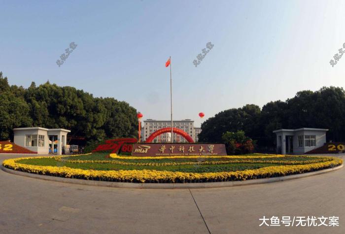 国内大学最新排名及其个人见解
