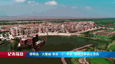 上海崇明岛大爱城最新房价，探寻内心平静的旅程