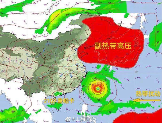 今年最新台风动态更新