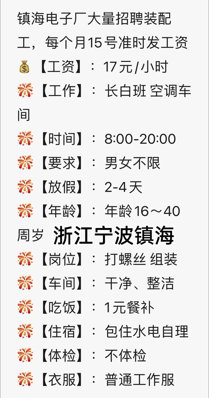 宁波电子厂最新招工信息揭秘，小巷里的职业宝藏等你来发掘！