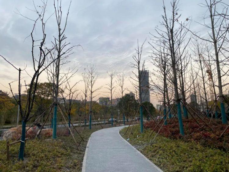自然美景旅行探索