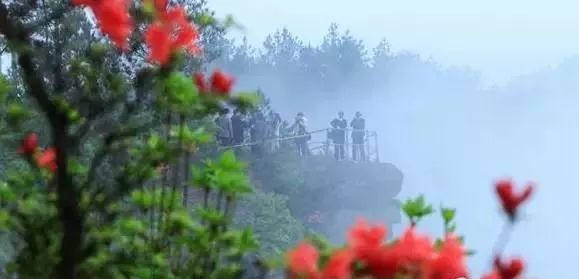 野花鲁最新地址网，探索学习变化的力量，发掘自信与成就感的源泉