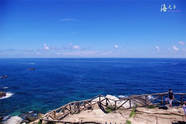 最新电视剧观看指南，自然之旅探寻内心平和之地