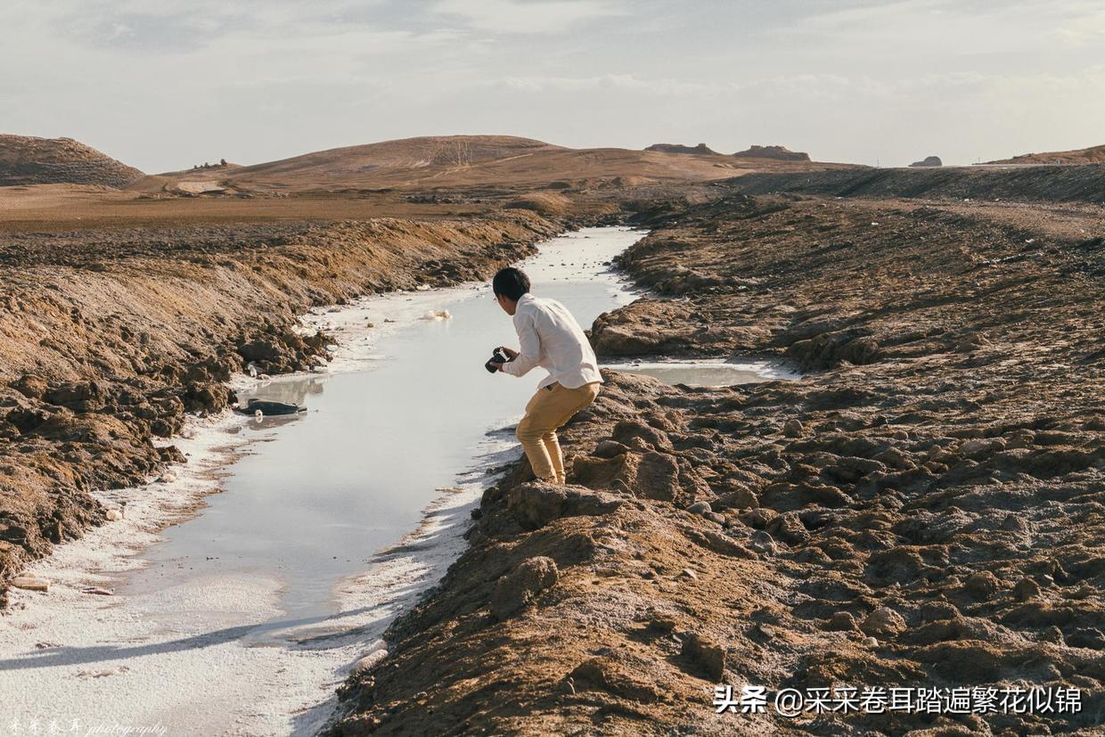 探秘热门网络文学走向，封少别太坏最新章节精彩解析